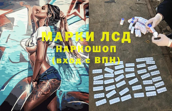 твердый Ельня