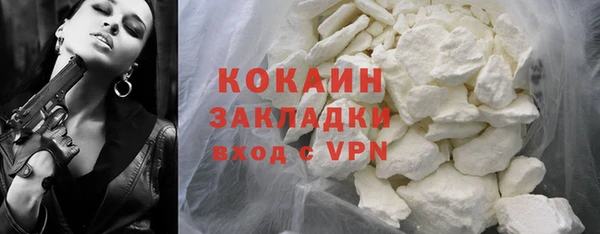 твердый Ельня