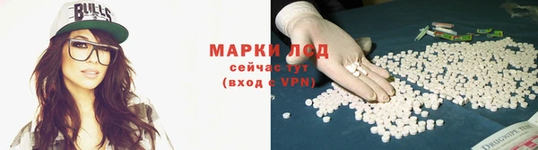 твердый Ельня