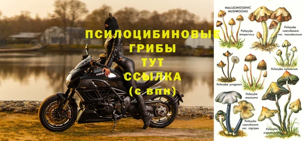 ГАЛЛЮЦИНОГЕННЫЕ ГРИБЫ Ессентукская