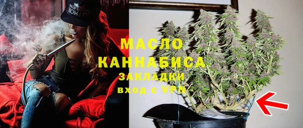 твердый Ельня