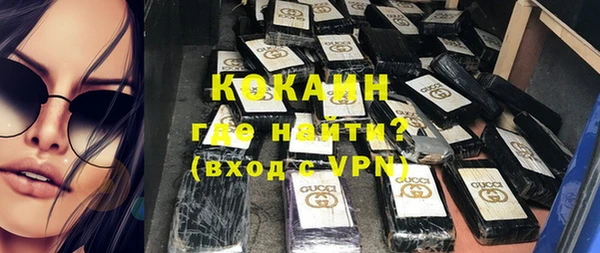 твердый Ельня