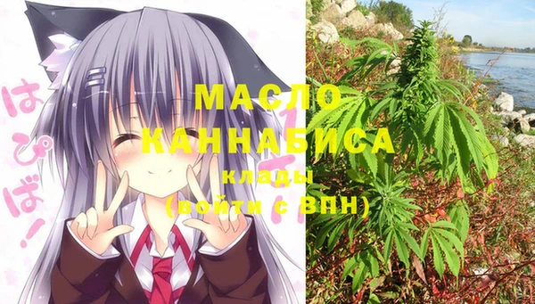 твердый Ельня