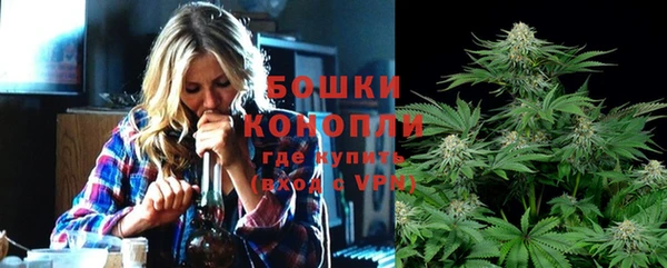 твердый Ельня
