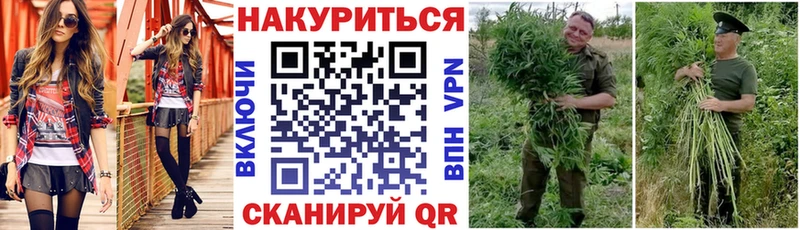 Бошки Шишки SATIVA & INDICA  Купить закладки  Звенигород 